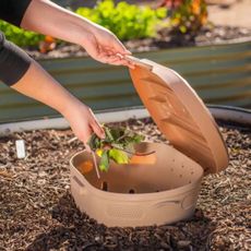 Woman places food scraps in plastic bin in garden