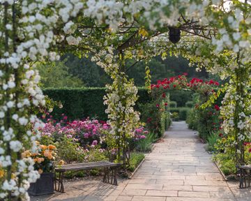 Garden arch ideas: 11 gorgeous archways for your backyard | Gardeningetc