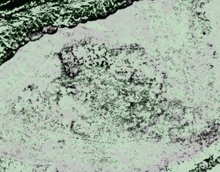 A satellite image showing the anomalies at the Point Rosee site. The darker areas indicate potential turf structures.
