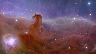 a purple and pink cloud in space that resembles a horse's head