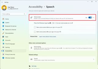 Enable Voice Access