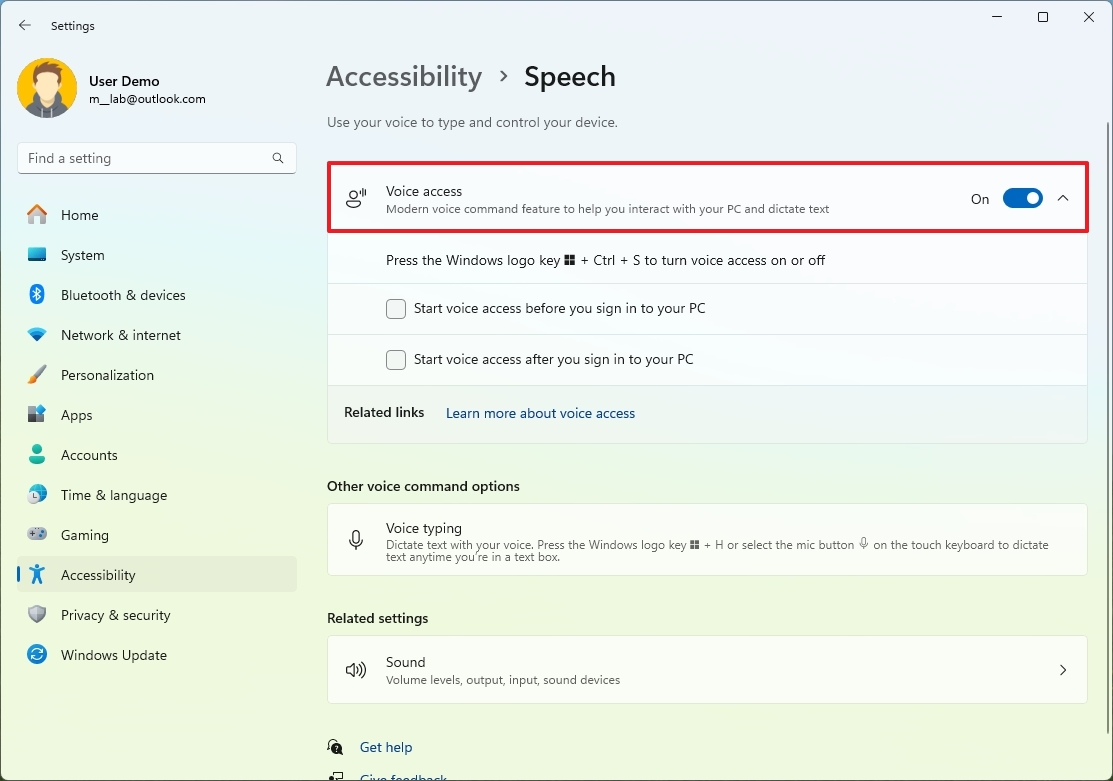 Enable Voice Access