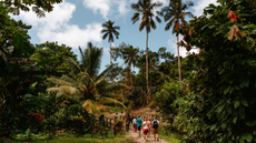 Chocolate tour in Saint Lucia.