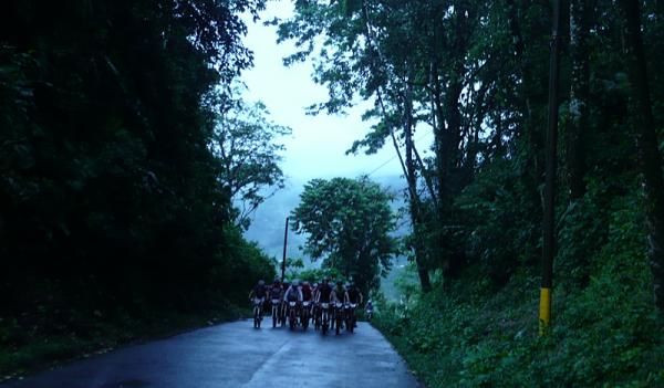 The peloton rolls out under a canopy of green.