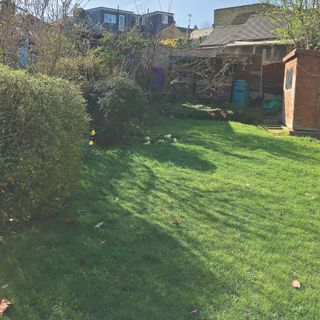 Green grass lawn in autumn garden