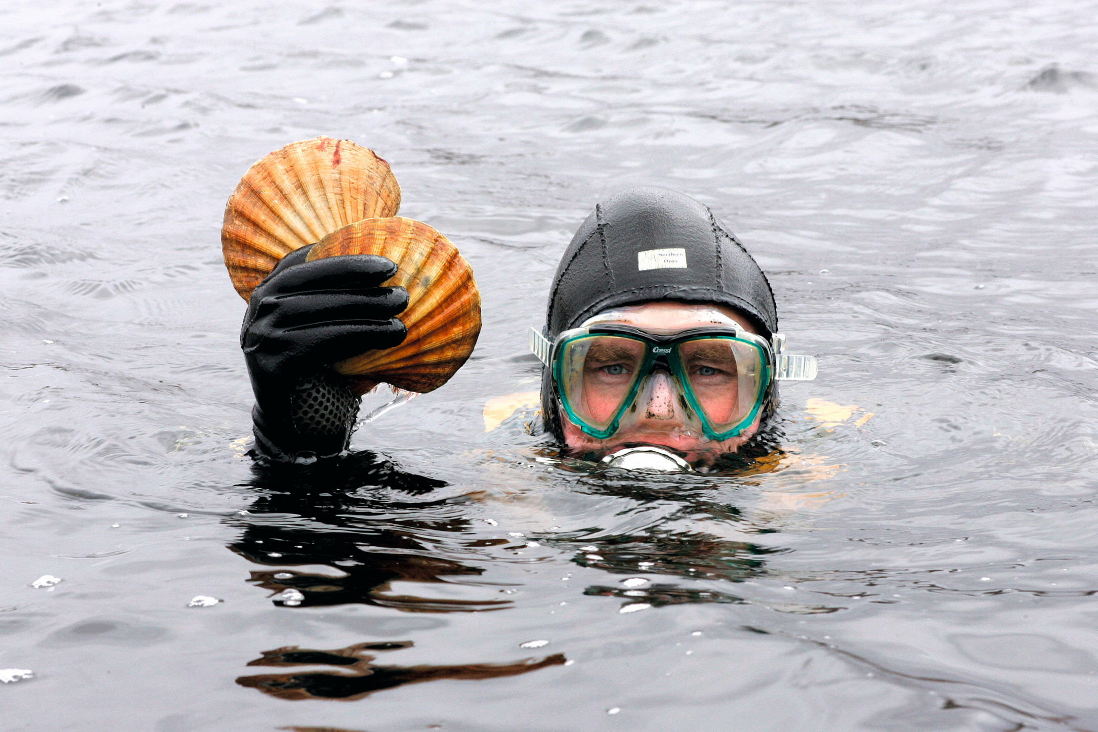 A diver holds up some clams. She looks cold. The clams look like clams