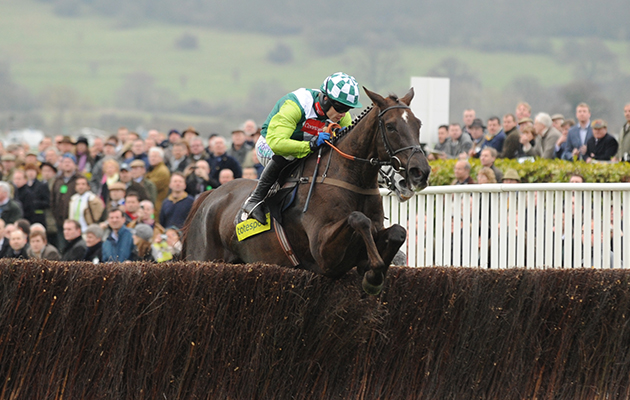 Denman heads for victory in the 2008 Cheltenham Gold Cup