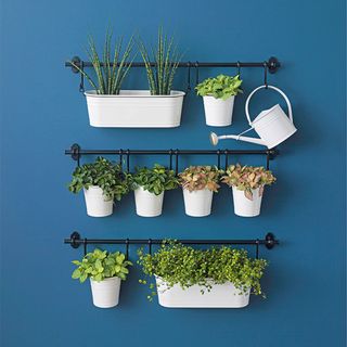 blue with rails and mini wall hung planters
