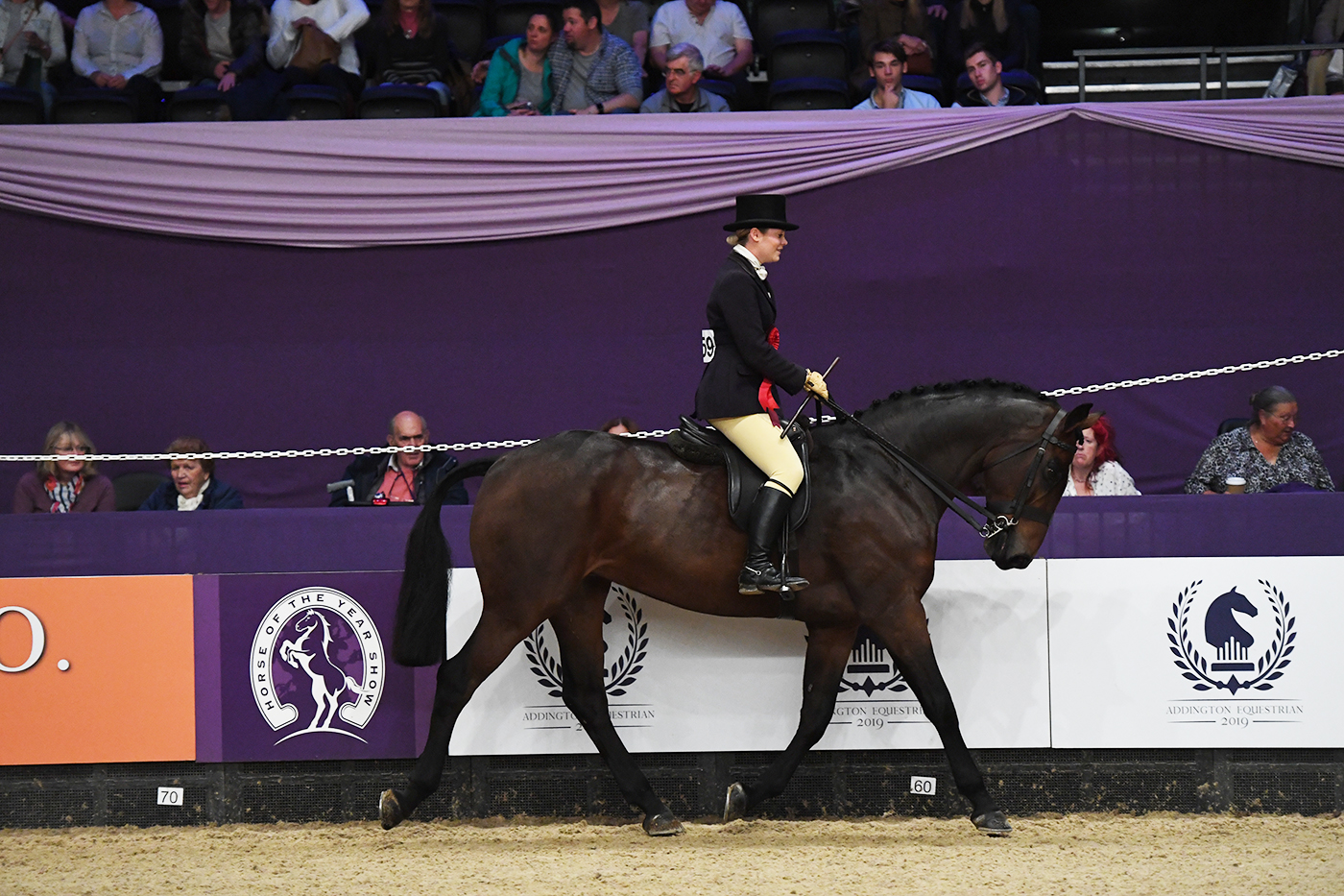 HOYS 04 10 19