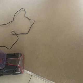 Using the Bissell Powerclean on a border