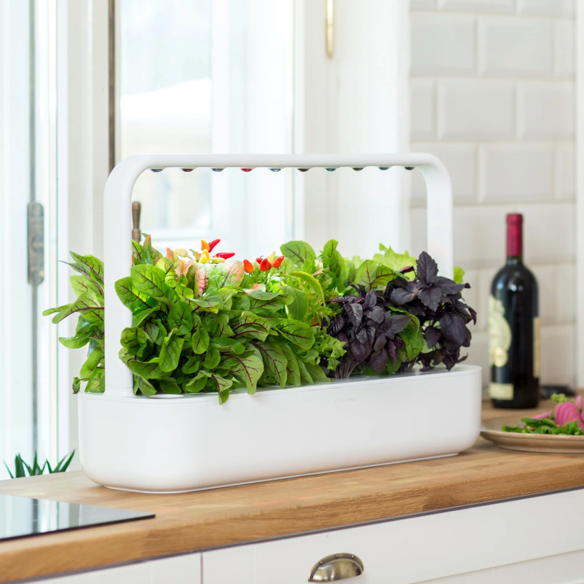 Smart Garden 9 grow kit on kitchen counter