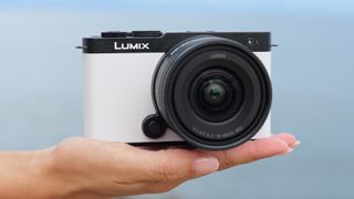 Panasonic Lumix S 18-40mm F4.5-6.3 attached to a 'Smokey White' Lumix S9 camera