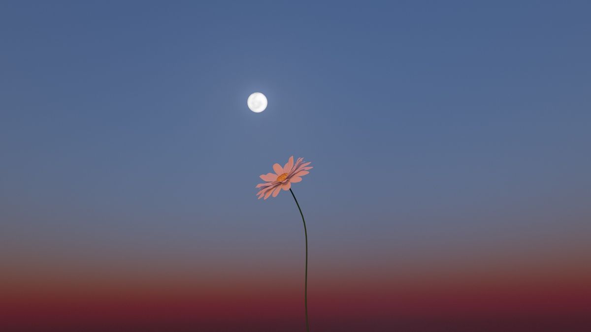 May's full 'Flower Moon' will be a micromoon. Here's how to watch it rise.
