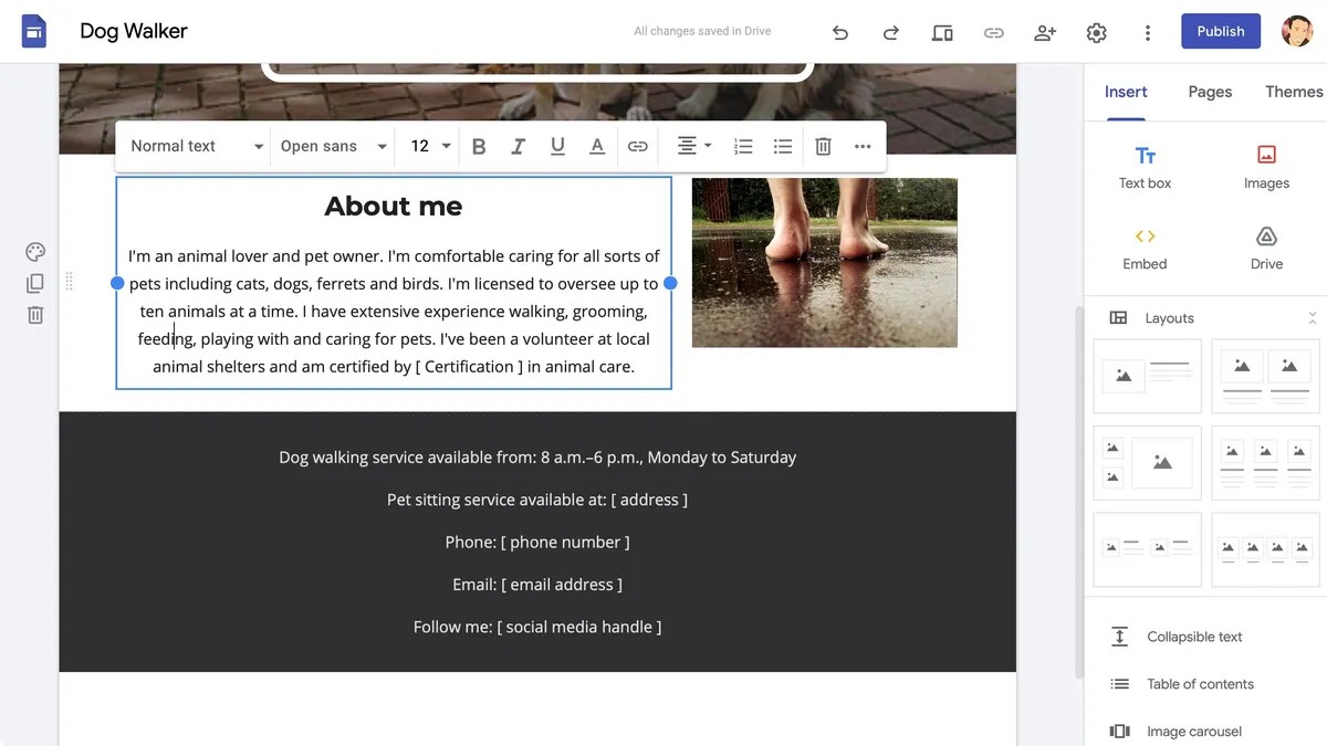 Screenshot of Google Sites website builder