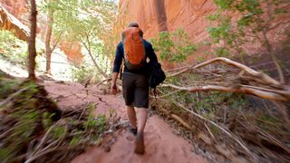 Man with daypack hiking on trail