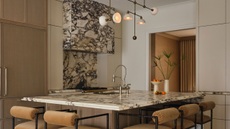 beautiful richly veined calacatta viola mabrle hood and backsplash