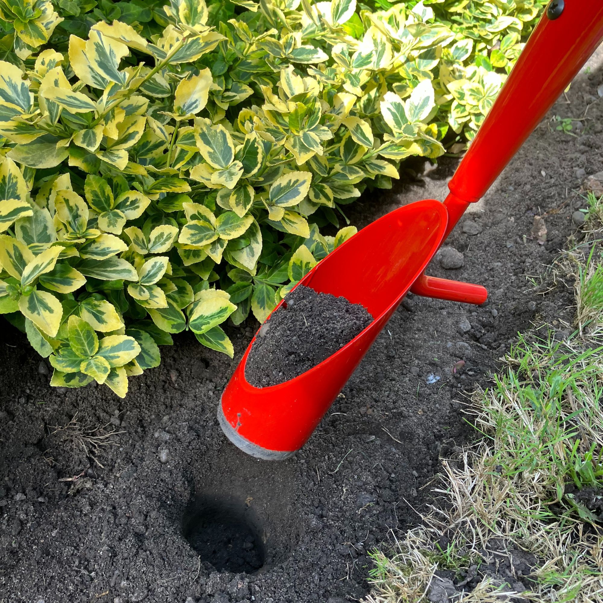 QVC long-handled bulb planter with hole and plug of earth