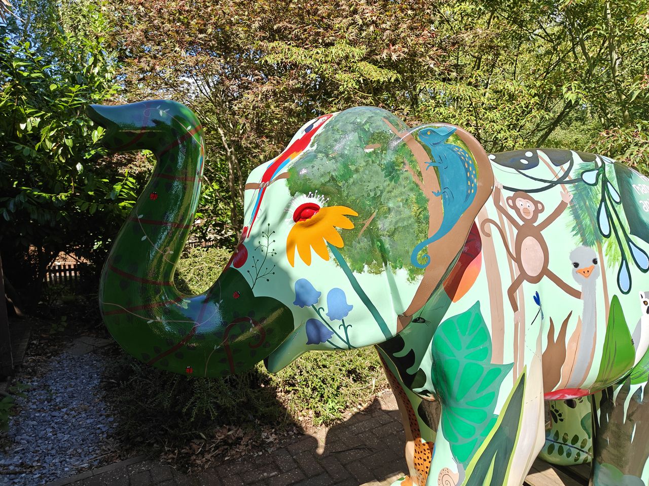 OnePlus Nord 5 camera samples