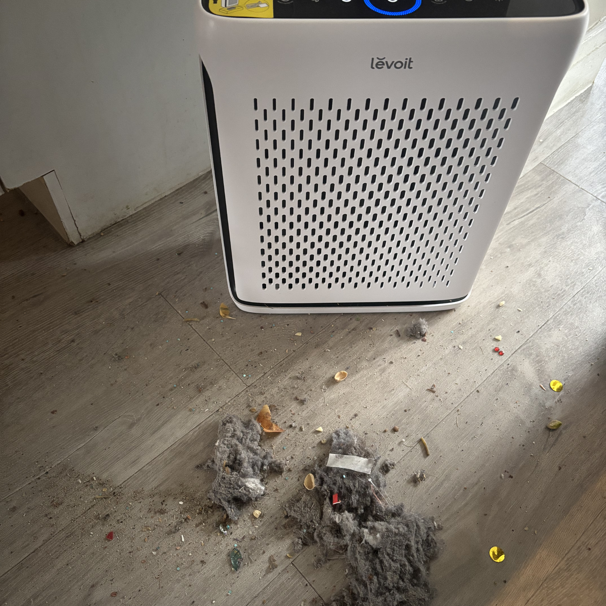 Levoit Vital 100S Smart Air Purifier dust test