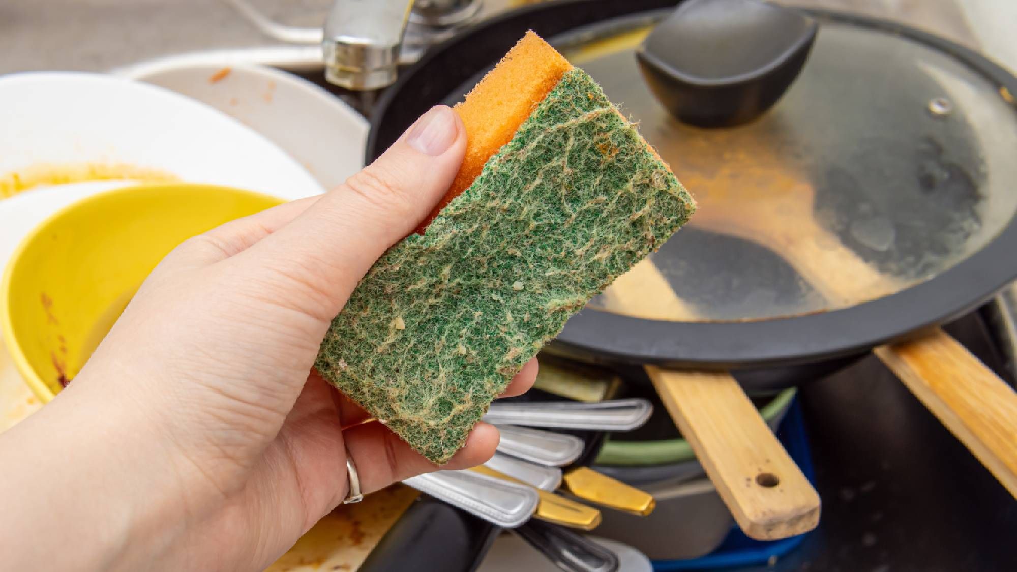 Knowing how to use a kitchen sponge seems idiot - proof , but most of us are still doing it wrong