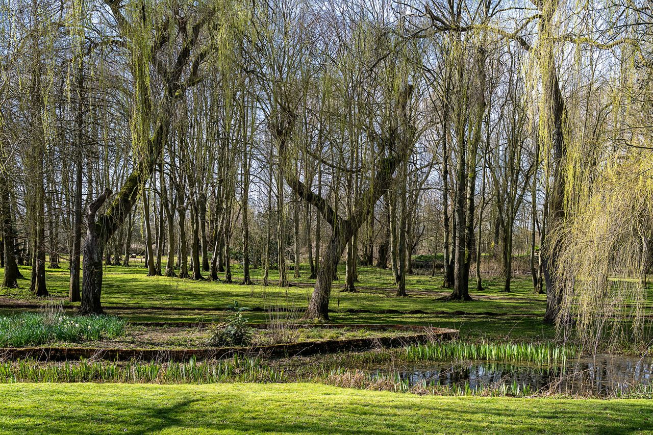 Images of the sublime Rectory Farm House in Oxfordshire