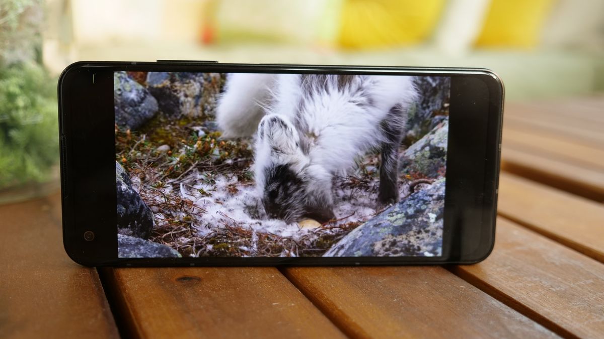 Asus Zenfone 10 review: A mighty mini phone | Laptop Mag