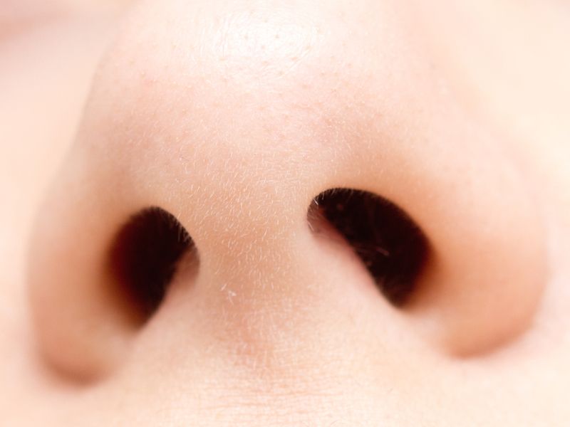 human nose close up