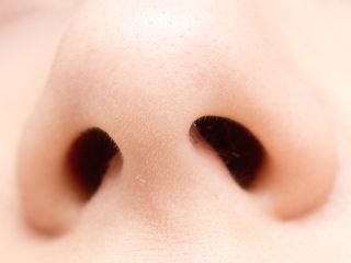 different human nose shapes