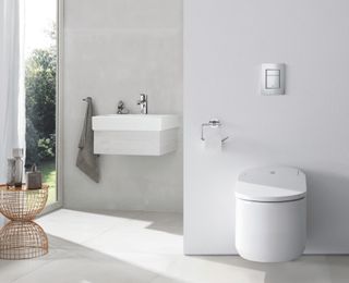 Shower toilets are becoming more popular among renovators
