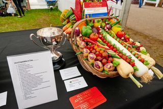 A prize-winning vegetable trug basket at the Malvern Autumn Show in Worcestershire.