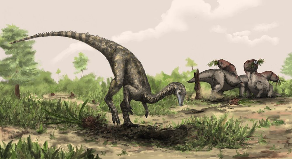 an artist&#039;s illustration of a Nyasasaurus, considered the oldest known dinosaur, from the Middle Triassic of Tanzania.