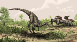 an artist's illustration of a Nyasasaurus, considered the oldest known dinosaur, from the Middle Triassic of Tanzania.