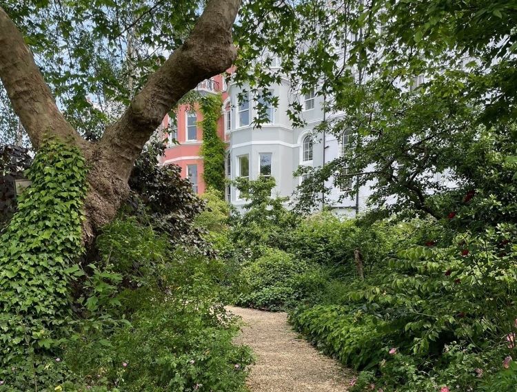Gardens open as part of the London Gardens Trust