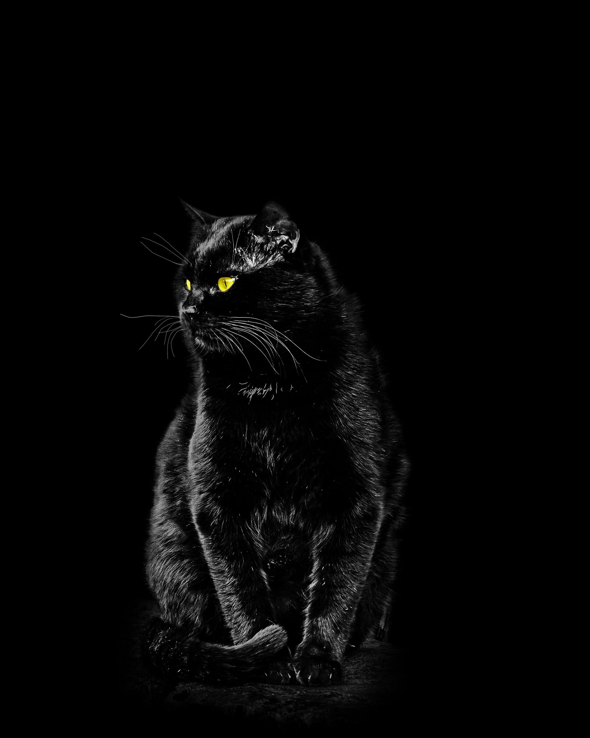 GuruShots - Mostly Black July 2025