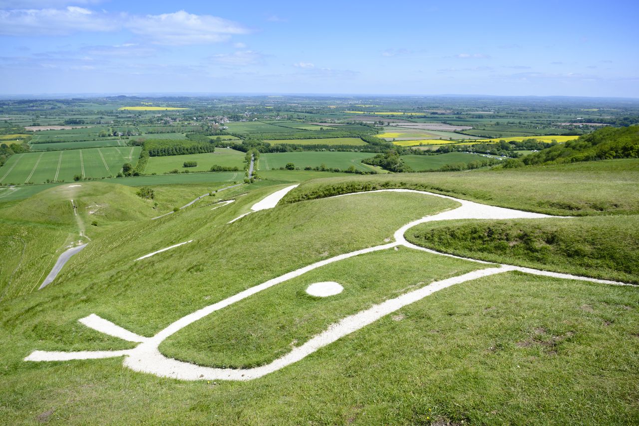 White Horse Hill, Uffington. This prehistoric chalk white horse is oldest of several in the English countryside said to be 3000 years old. Here the head is in the foreground with Dragon Hill and the Vale of the White Horse in the background.