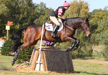 954SamPennTickeridgeEquilib.jpg