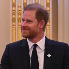 Prince Harry at a Halo Trust reception