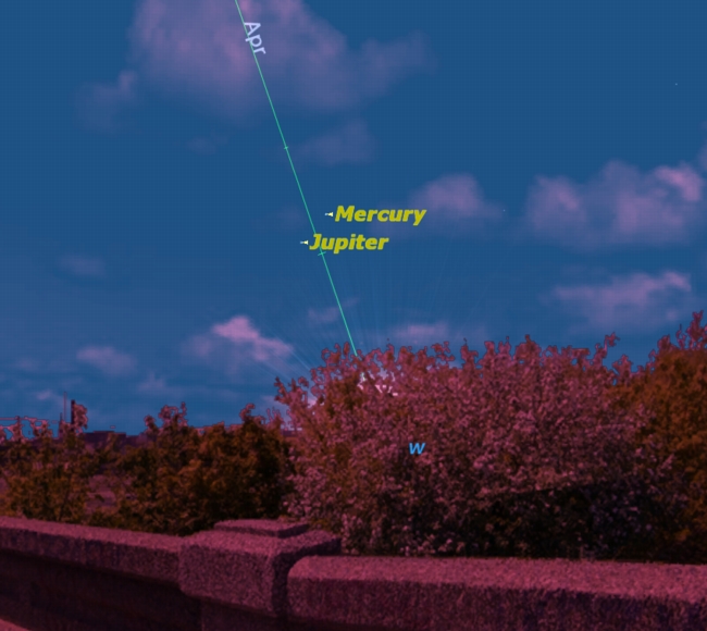 At sunset this week, there will be an unusual opportunity to see the elusive planet Mercury: Jupiter points the way. 