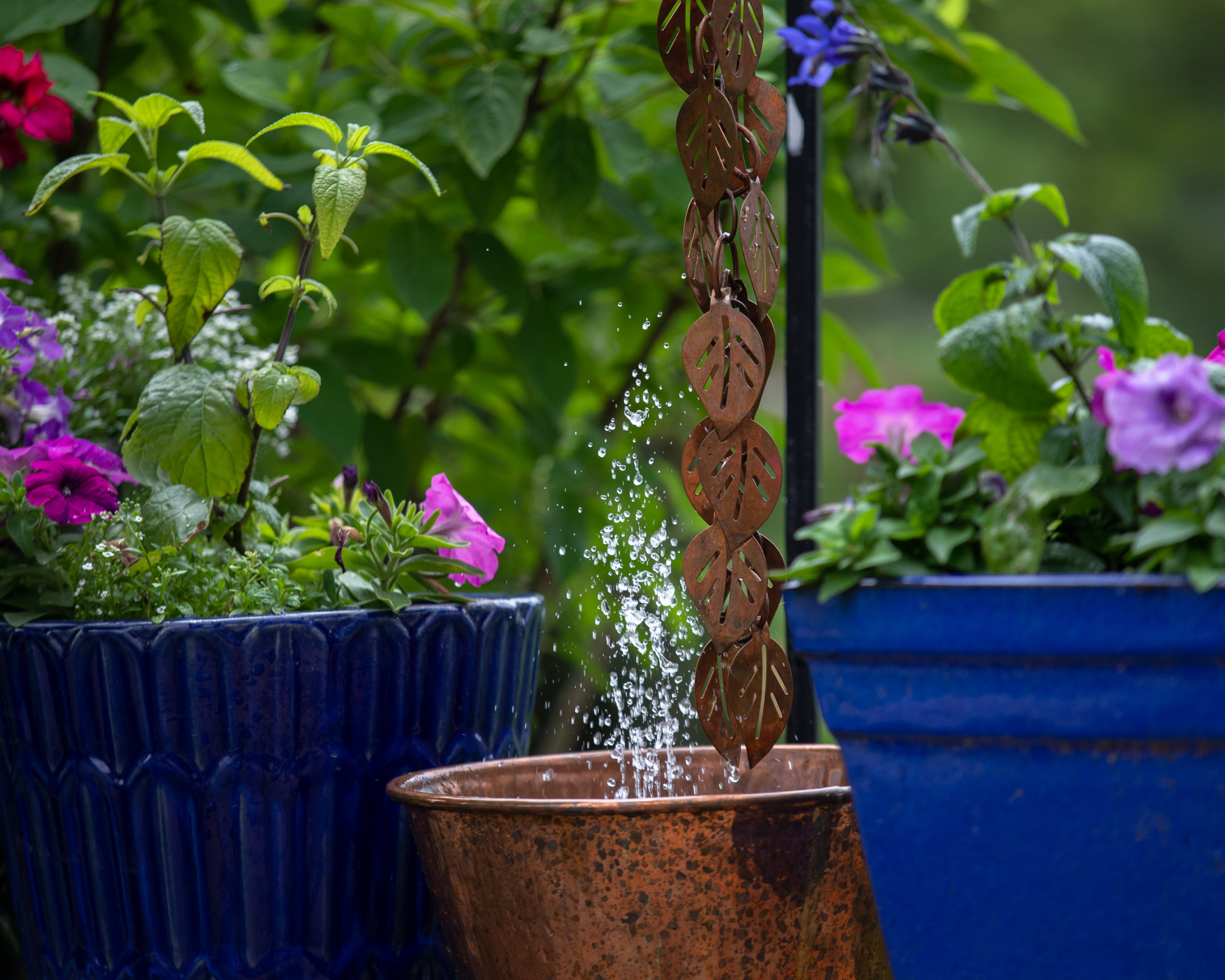 Rain chain, container and solar water fountain used to create a water feature in a small garden