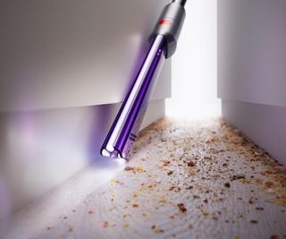 Dyson outsize in crevice vacuuming crumbs