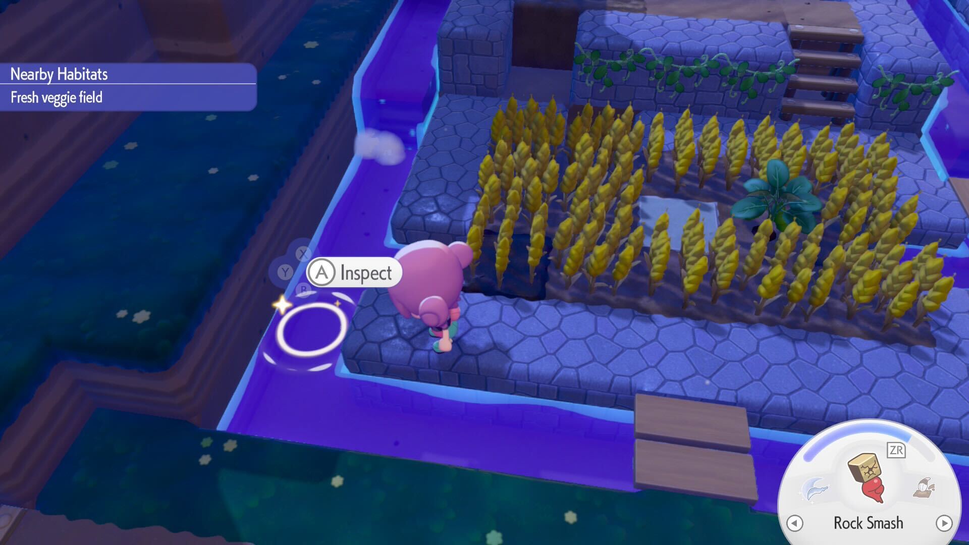 Inspecting a sparkling ripple in Pokemon Pokopia