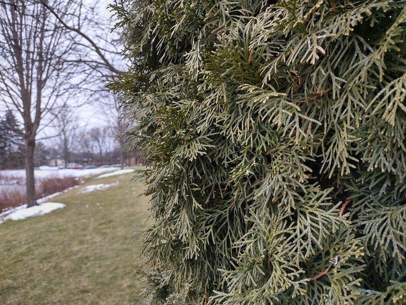 Motorola One 5G Ace camera sample