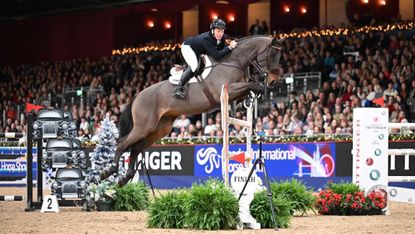 Matt Sampson jumps a vertical on a bay horse at the London International