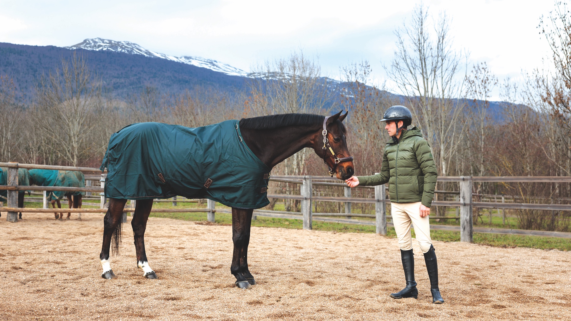 Felix Vogg with Colero out in the paddock.