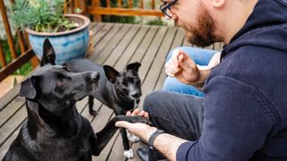 Man teaching his pet dog to give its paw while sitting on porch of his house