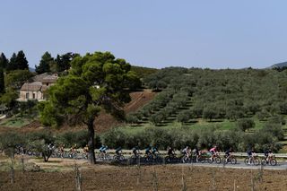 AGRIGENTO ITALY OCTOBER 04 Rohan Dennis of Australia and Team INEOS Grenadiers Salvatore Puccio of Italy and Team INEOS Grenadiers Jonathan Castroviejo of Spain and Team INEOS Grenadiers Filippo Ganna of Italy and Team INEOS Grenadiers Pink Leader Jersey Geraint Thomas of The United Kingdom and Team INEOS Grenadiers Santa Ninfa 445m Peloton Landscape Olive Tree during the 103rd Giro dItalia 2020 Stage 2 a 149km stage from Alcamo to Agrigento 243m girodiitalia Giro on October 04 2020 in Agrigento Italy Photo by Tim de WaeleGetty Images