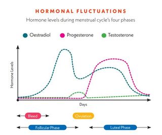 Chart shows the hormonal fluctuations during menstrual cycle's four phases