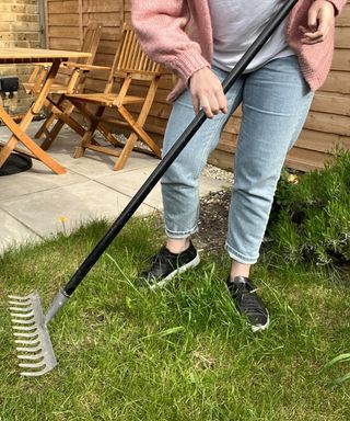 An image of a woman wearing a light pink cardigan, light blue denim jeans, grey cotton t-shirt and black casual sneaker footwear using rake to pull back turf in backyard
