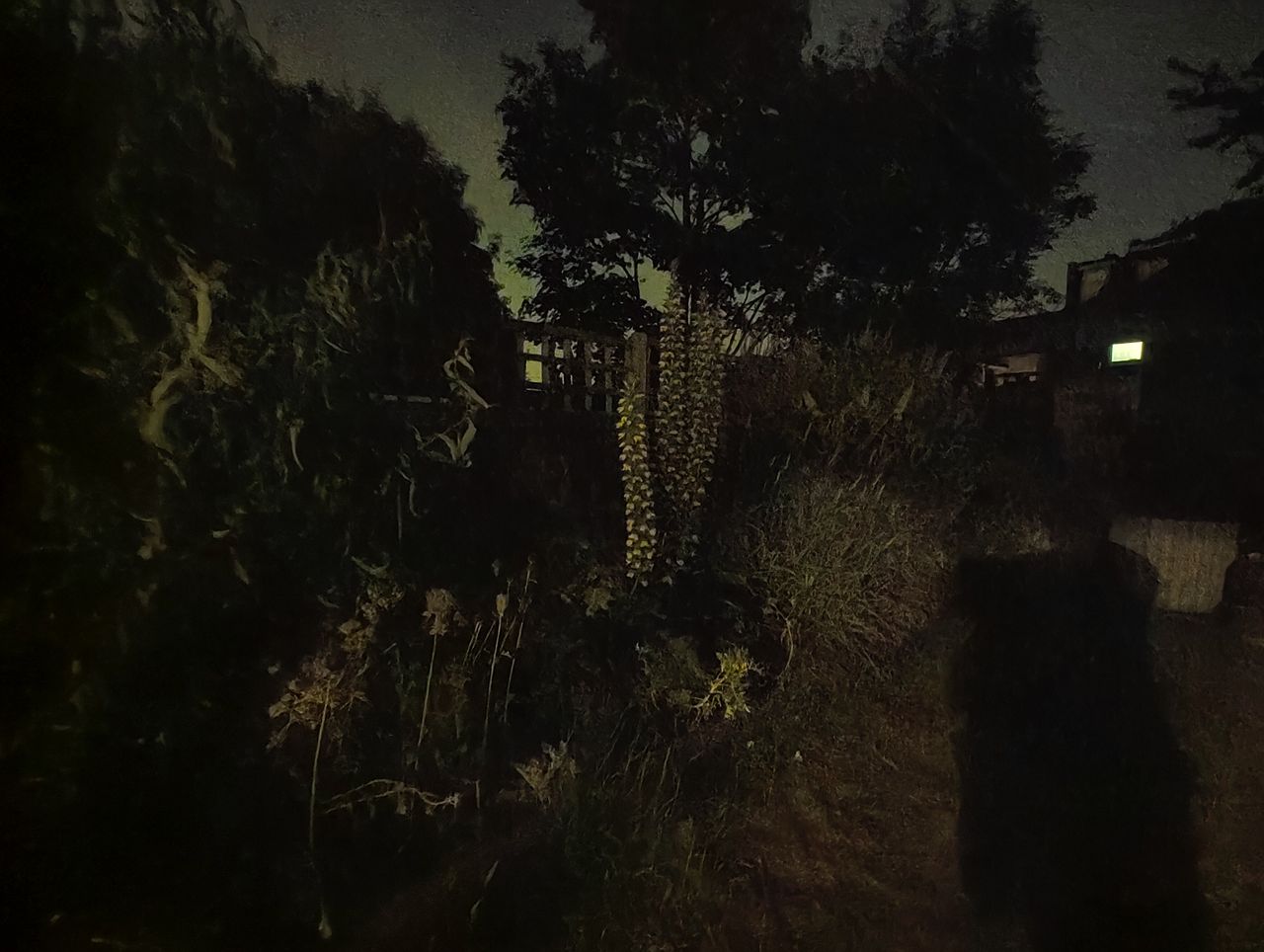 Nothing Phone 1 camera sample UW extreme low light night mode