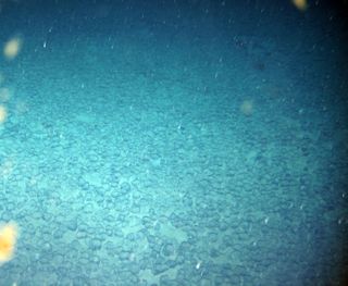 Some rocks grow when dissolved metals precipitate from seawater or freshwater. These so-called nodules, like the manganese nodules shown here, are found on the bottom of every ocean.